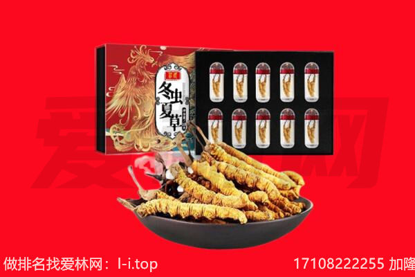 咸阳市渭城回收虫草.jpg
